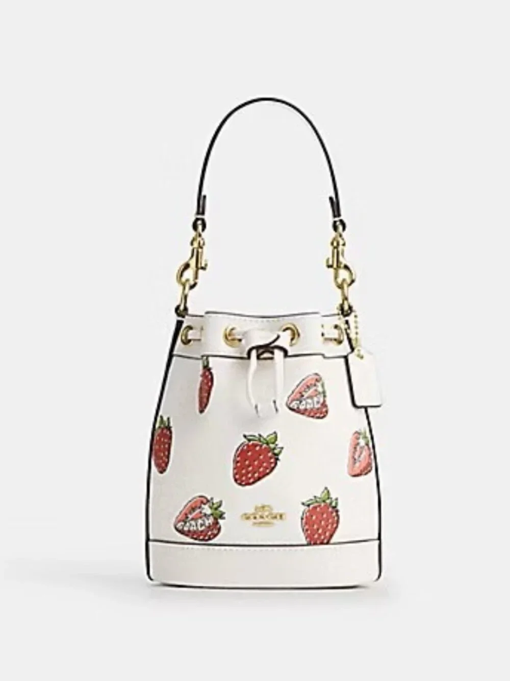 NWT MINI BUCKET BAG WITH STRAWBERRY PRINT (CAL11)